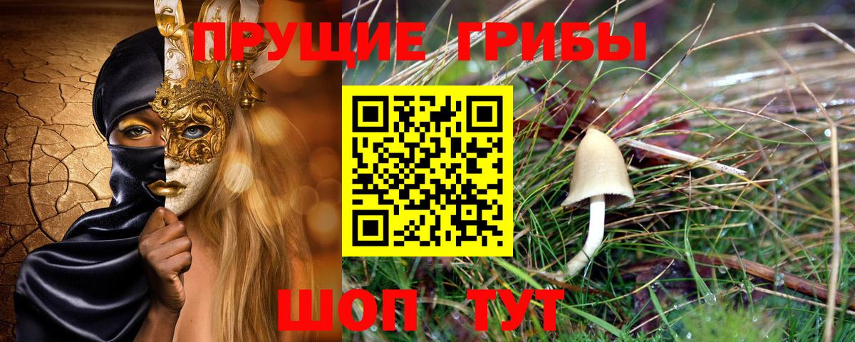 Псилоцибиновые грибы GOLDEN TEACHER Дивногорск