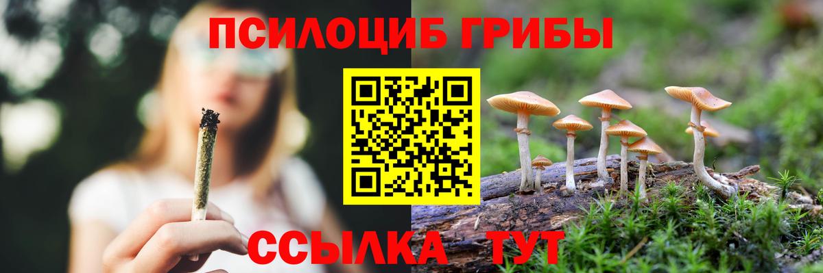 Дивногорск  Псилоцибиновые грибы мицелий  Вход с VPN  Псилоцибиновые грибы мухоморы 